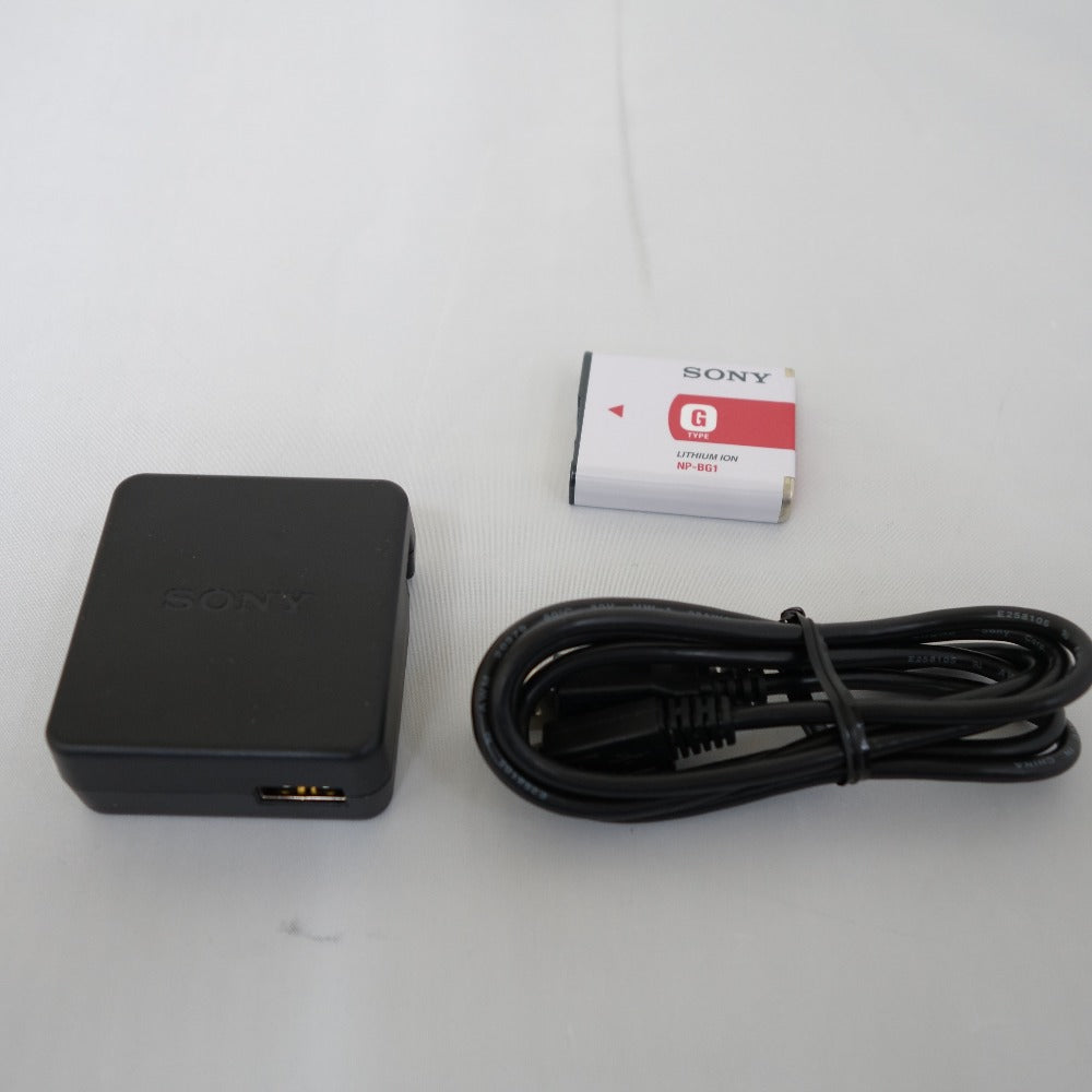 ジャンク品 sony (ソニー) デジタルスチルカメラ Cyber-shot DSC-HX10V 画面焼け