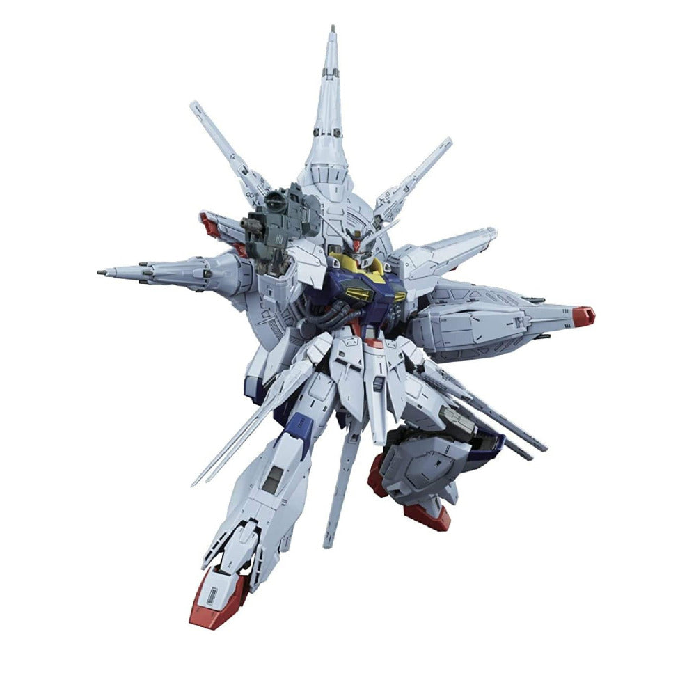 再入荷1/100 MG プロヴィデンスガンダム 改造パーツ ガレージキット未組立 機動戦士ガンダムSEED