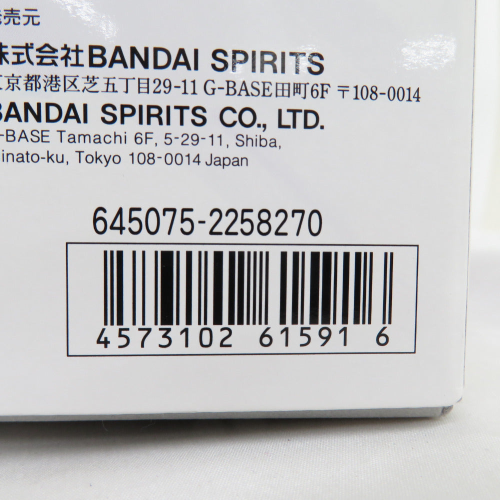 MG 機動戦士ガンダム逆襲のシャア ベルト-チカ・チルドレン Hiνガンダム Ver.Ka 1/100スケール 色分け済みプラモデル 未組立品