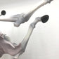 イーザンバロン・V・ナス寿郎聖 「一番くじ ワンピース 未来島エッグヘッド～Burst of Energy～」 MASTERLISE EXPIECE D賞 フィギュア BANDAI SPIRITS バンダイスピリッツ フィギュア