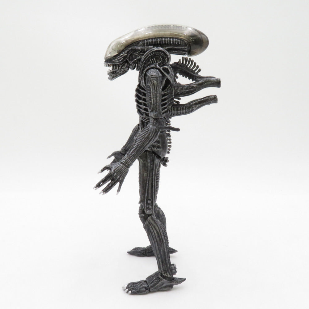S.H.MonsterArts エイリアン ビッグチャップ ALIEN 35周年 開封品 箱イタミ品 BANDAI バンダイ フィギュア