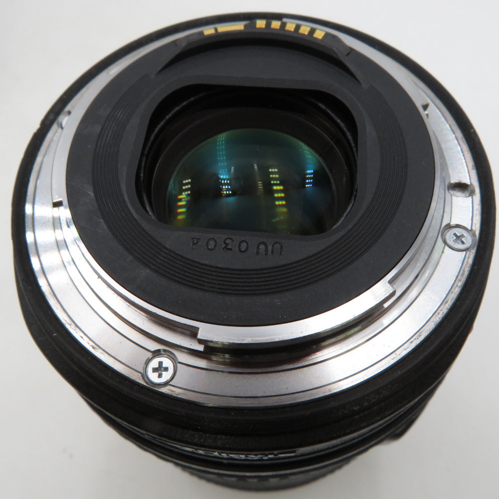 交換レンズ 24-105/F4LUSM