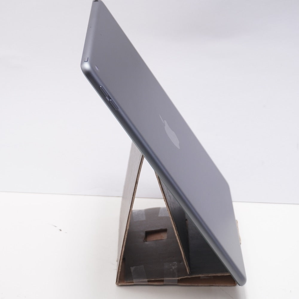 Apple iPad