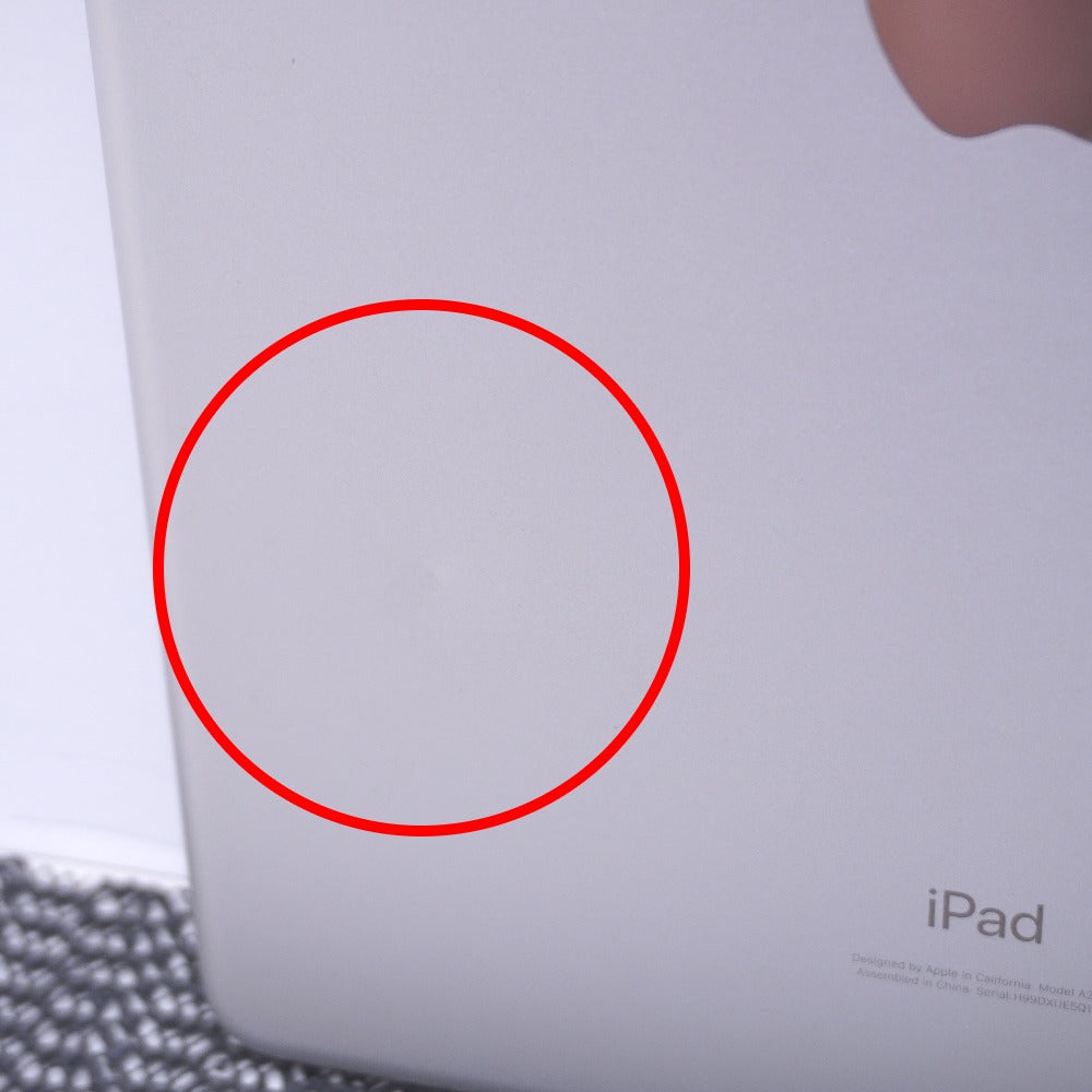 Apple iPad