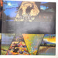 レコード LP 高中正義 MASAYOSHI TAKANAKA 虹伝説 THE RAINBOW GOBLINS 36MK9101-2 動作未確認 中古