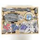 DXミライドライバーセット 「仮面ライダージオウ」 プレミアムバンダイ限定 開封品 輸送箱イタミ有 BANDAI バンダイ