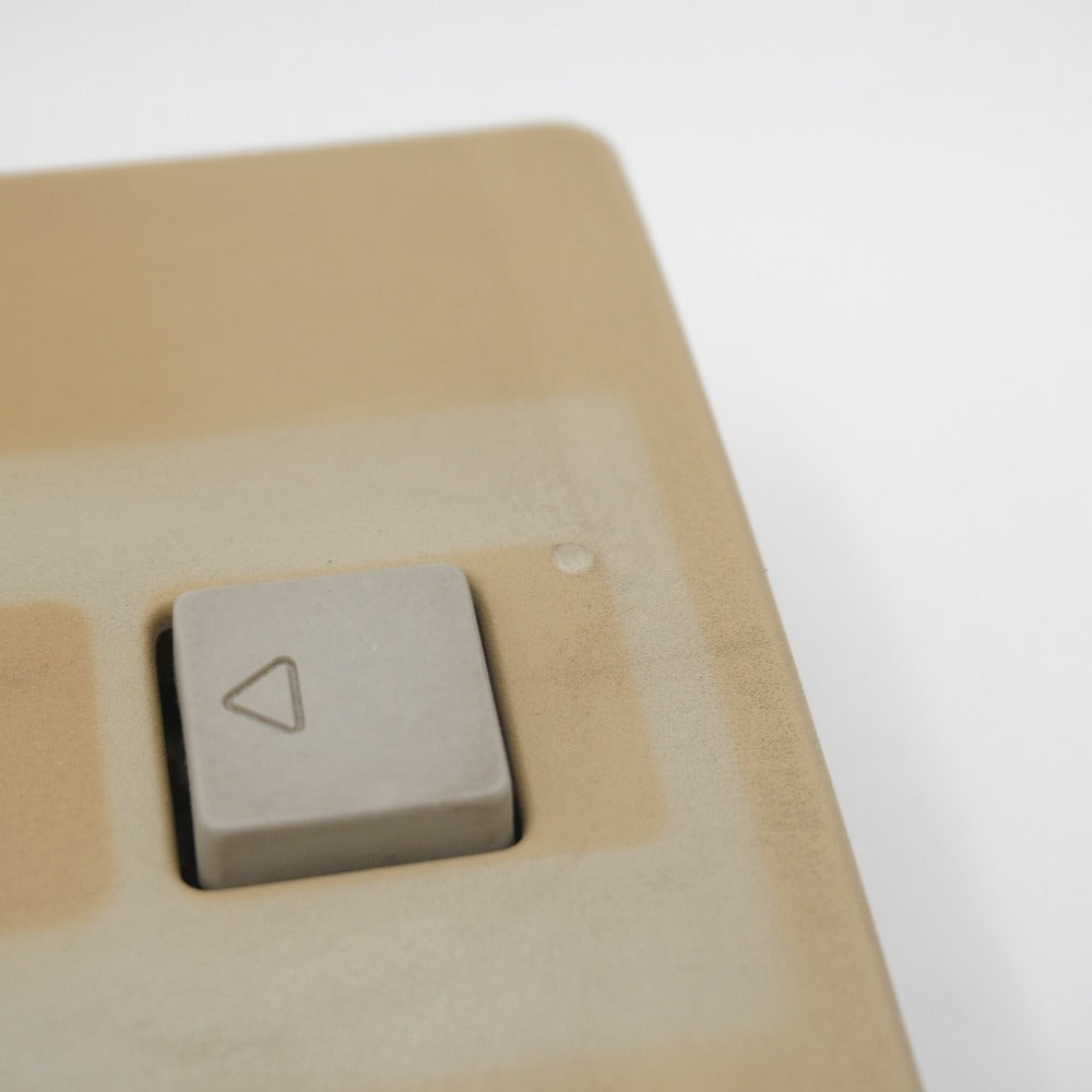 Apple Extended Keyboard II + Apple Desktop Bus Mouse II 動作未確認 Apple アップル ゲーム周辺機器 訳アリ