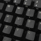 FILCO フィルコ Majestoush MINILA 日本語配列 茶軸