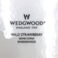 WEDGWOOD (ウエッジウッド) 食器 WEDGWOOD　ワイルドストロベリー　スパイラルトレイ　2枚セット 未使用品