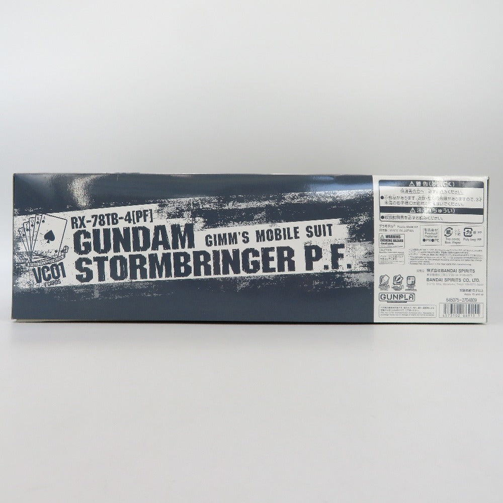 1/100 MG ガンダムストームブリンガー P.F. 「ガンダムビルドダイバーズ GIMM＆BALL’s World Challenge」 プレミアムバンダイ限定 [5066915] BANDAI SPIRITS バンダイスピリッツ プラモデル