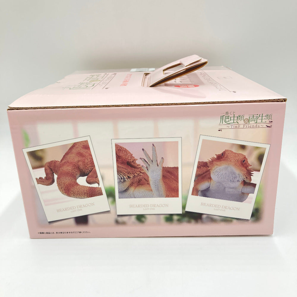 フトアゴヒゲトカゲ アームウェービングver. 「一番くじ 爬虫類＆両生類～Tiny Friends～」 ラストワン賞 BANDAI バンダイ 一番くじ フィギュア 未開封品