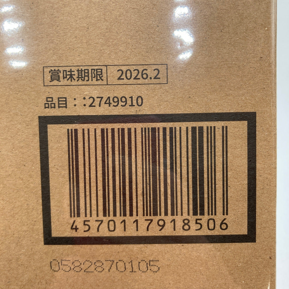 バルジオン 再販版 プラモデル
