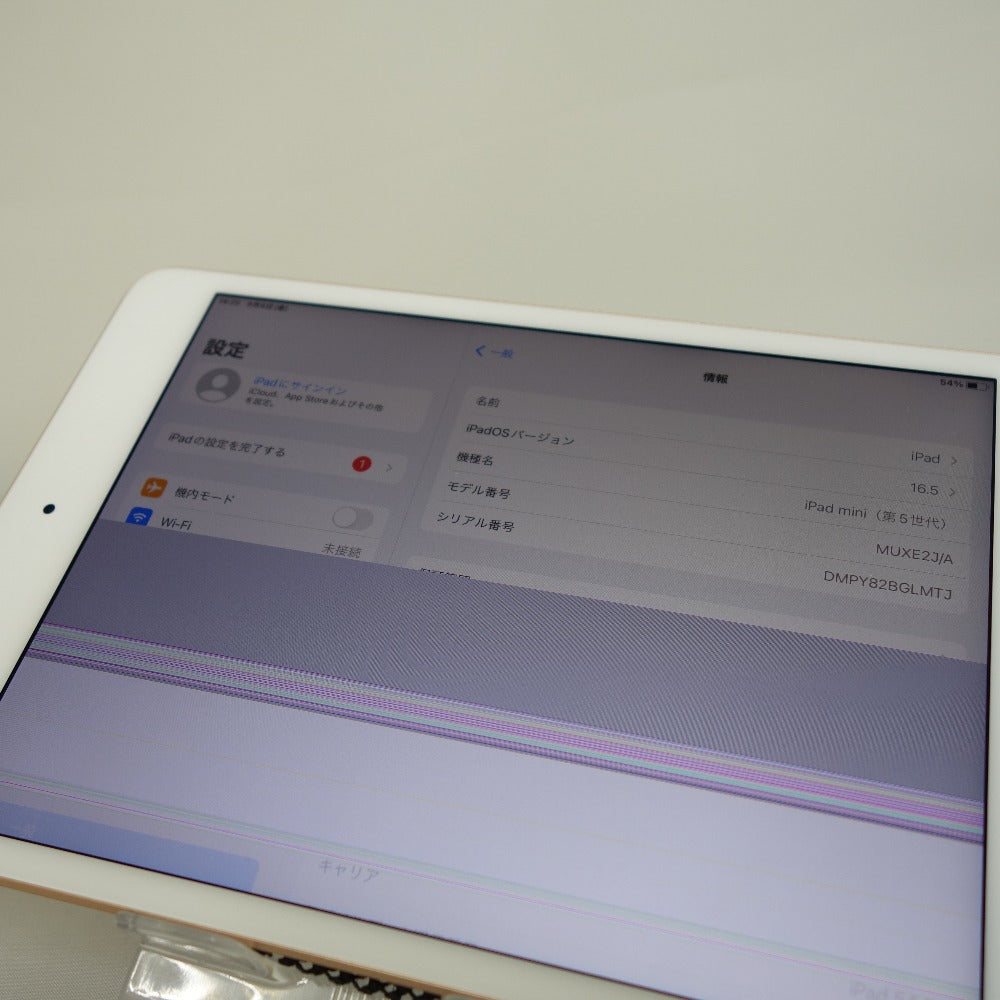 アップルジャンク品　iPad mini 第5世代 WiFi 256GB ゴールド