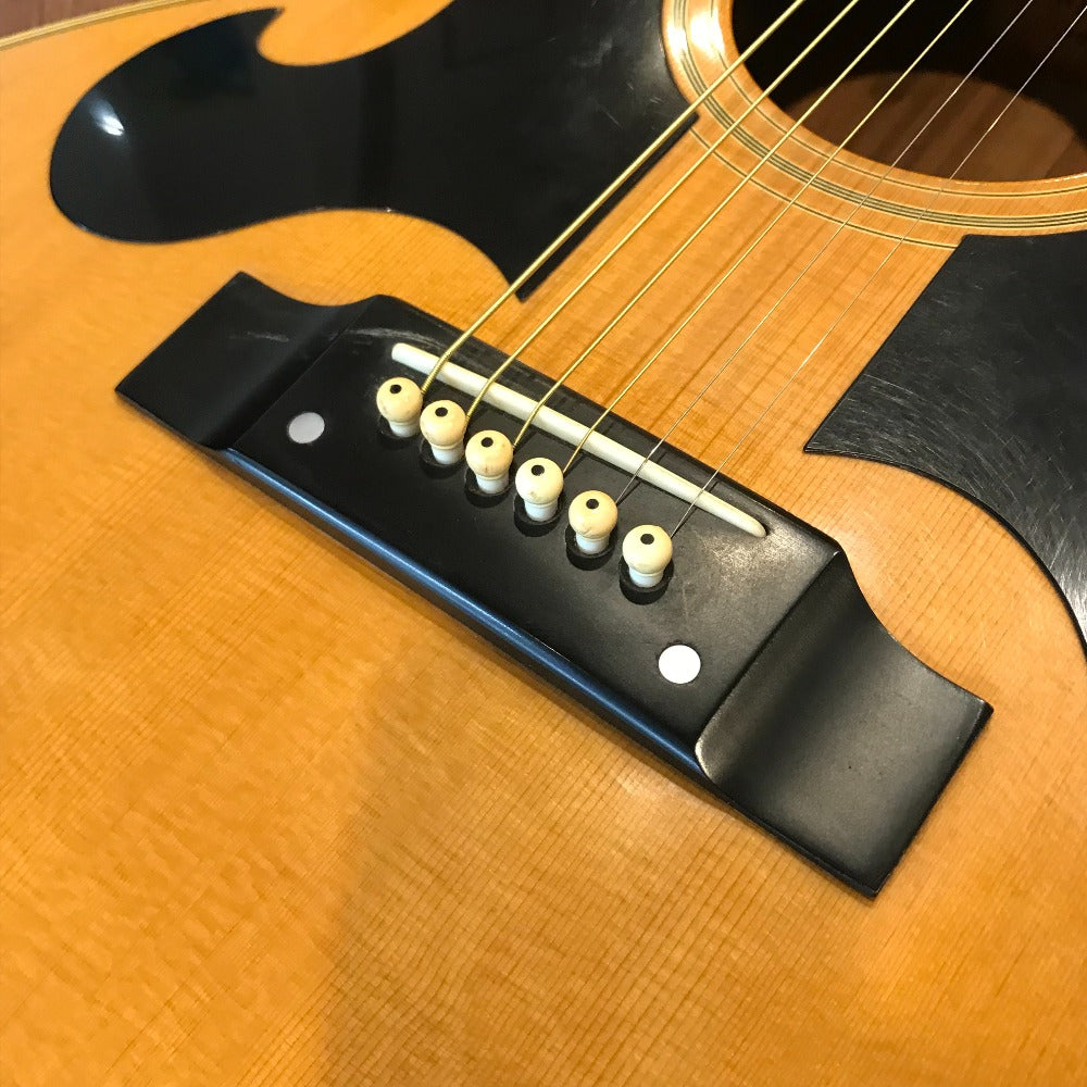 Morris アコースティックギター WJ-25 ｜コンプオフ プラス