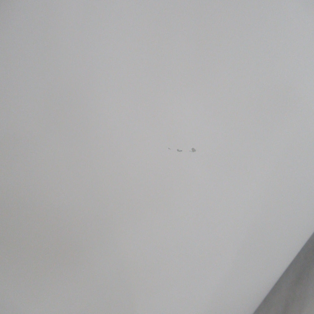 TWINBIRD ツインバード 冷蔵庫 ファン式 110L 2ドア ホワイト HR-E911 2018年製 一人暮らし 洗浄・除菌済み