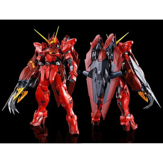1/100 MG ZGMF-X12A/RGX-00 テスタメントガンダム 機動戦士ガンダムSEED DESTINY ASTRAY プレミアムバンダイ限定プラモデル 未組立品