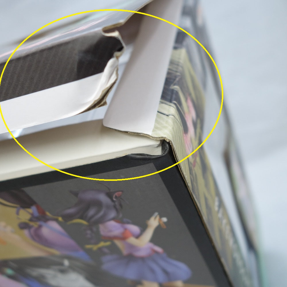 羽川翼 化物語 1/8スケールフィギュア 開封品 GOODSMILECOMPANY