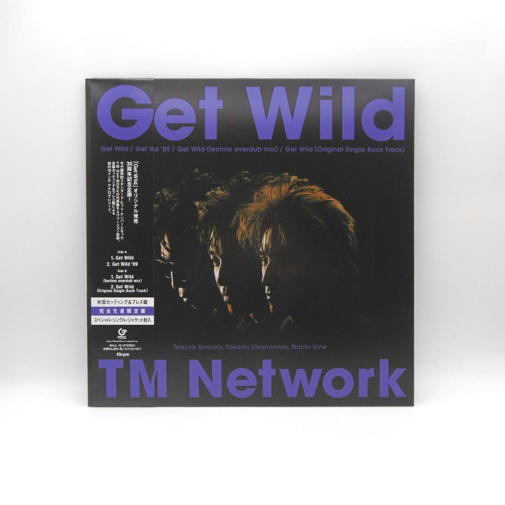 TM NETWORK Get Wild レコード - その他